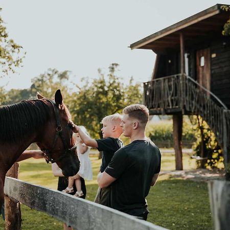 Treehouse Drevesna Hiska Strkovo Gnezdo Ranc Jures Hotell Ljutomer Eksteriør bilde