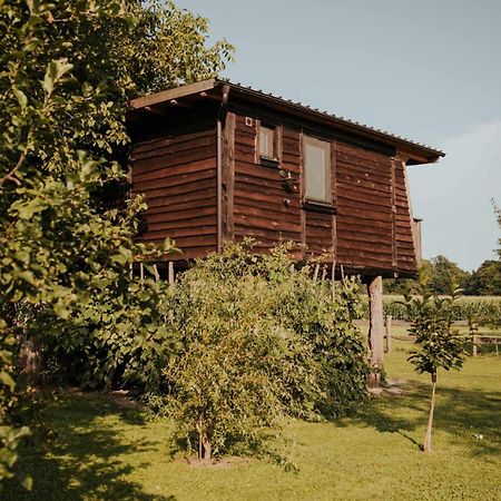 Treehouse Drevesna Hiska Strkovo Gnezdo Ranc Jures Hotell Ljutomer Eksteriør bilde