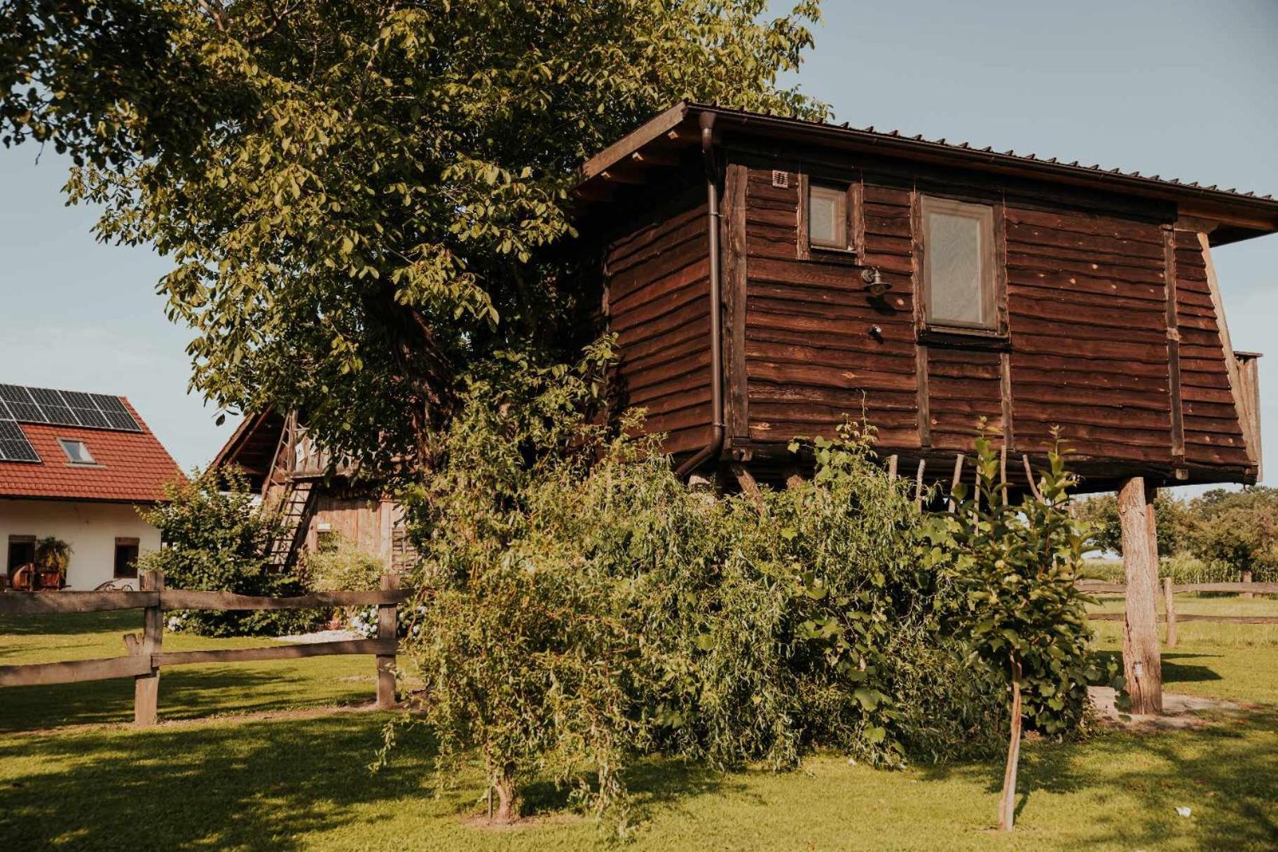 Treehouse Drevesna Hiska Strkovo Gnezdo Ranc Jures Hotell Ljutomer Eksteriør bilde