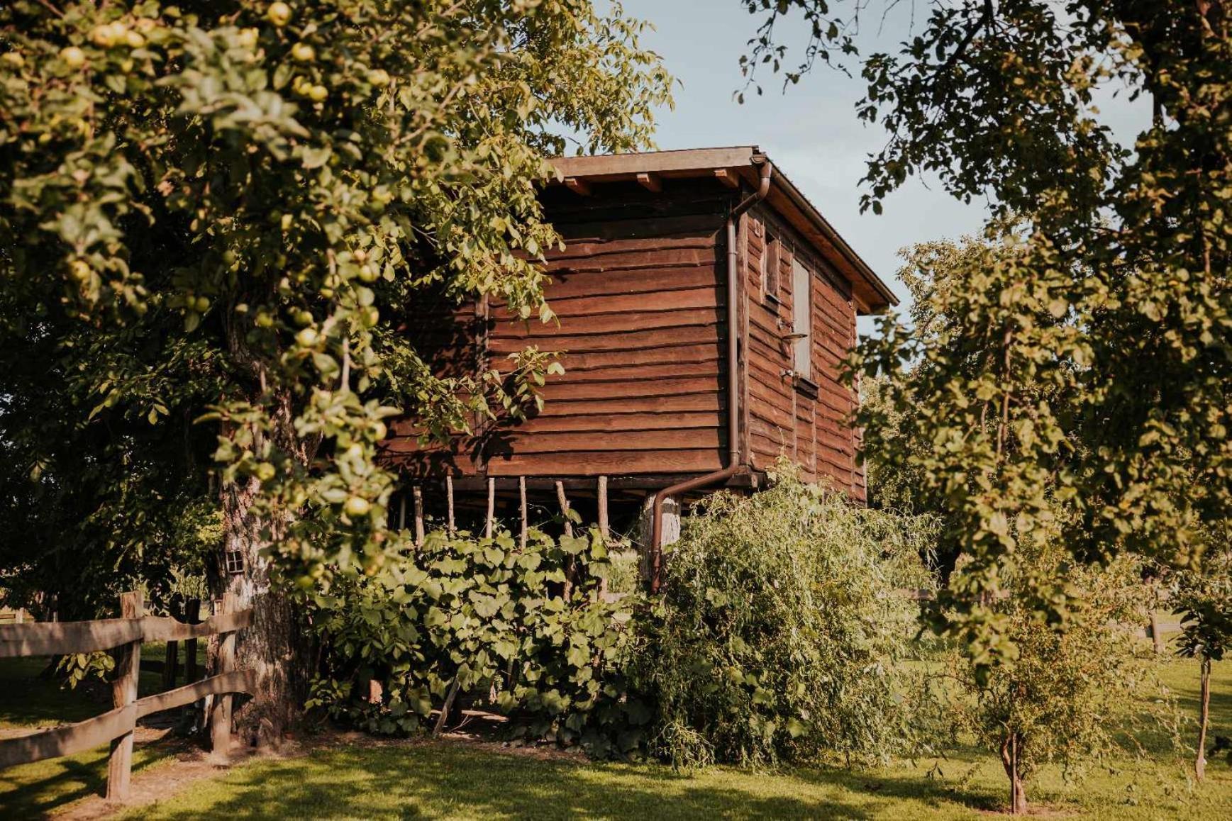 Treehouse Drevesna Hiska Strkovo Gnezdo Ranc Jures Hotell Ljutomer Eksteriør bilde